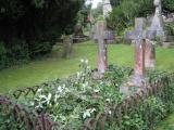 image of grave number 104429